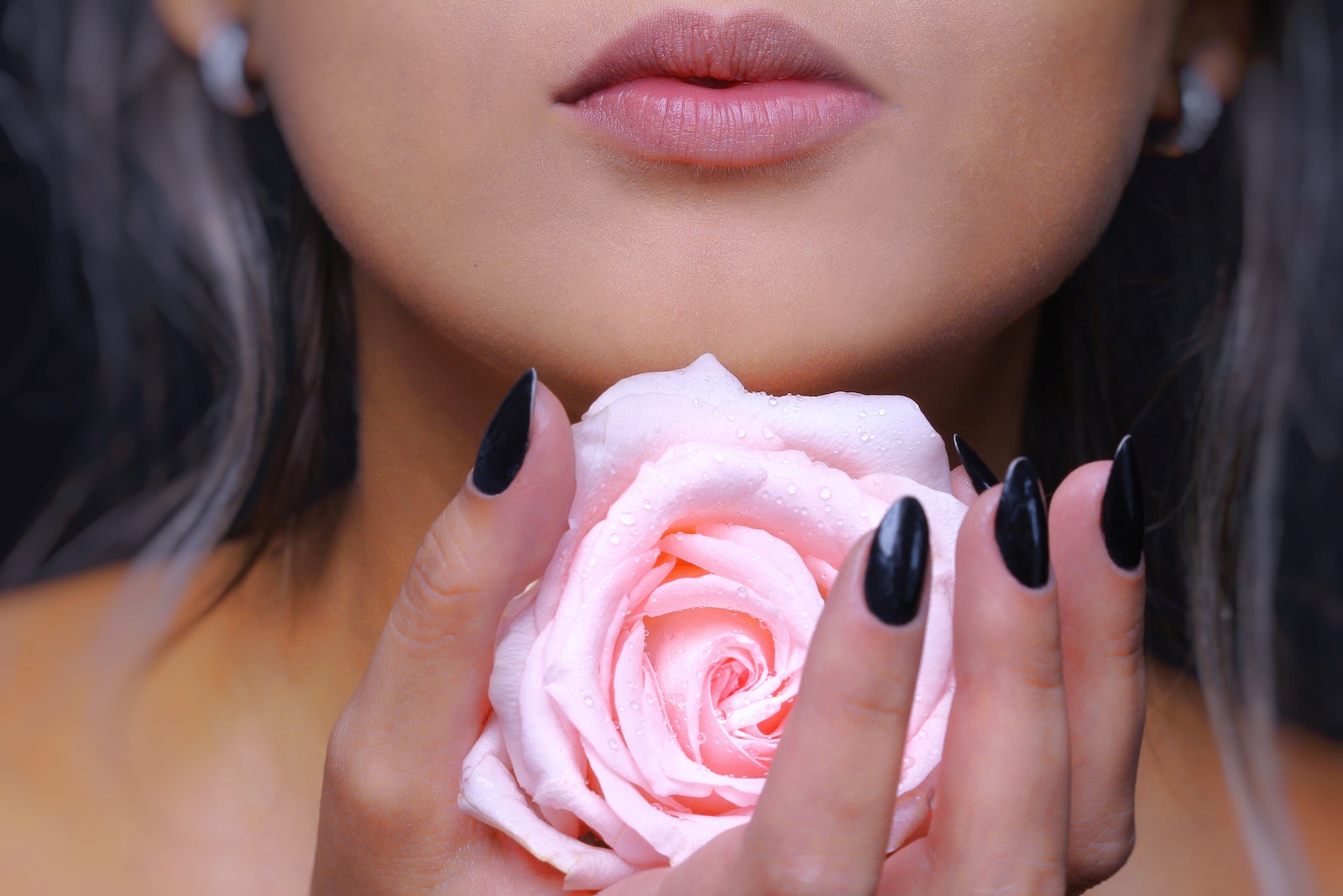 Woman Holding Pink Rose Flower